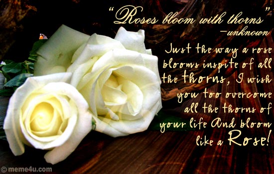 white rose, inspirational ecards, rose month cards