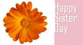 floral sisters day ecards, card for sister, ecards for sister