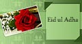 eid ul adha card for love, eid ul adha ecard for love, eid ul adha greeting card for love, eid ul adha email card for love, eid ul adha greeting for love