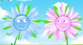 animated floral cards, flowers card, flower e cards