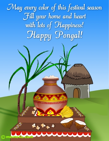 happy pongal wish, pongal greetings, pongal cards