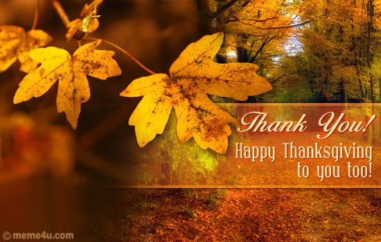 Thanksgiving Thank You Card, Thanksgiving Thank You Ecard