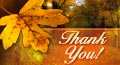 thanksgiving thank you card, thanksgiving thank you ecard, thanksgiving thank you greeting card, thank you card with fall, autumn thank you
