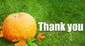 thanksgiving holiday thank you, thanksgiving holiday thank you ecard, holiday thank you wish, holiday thank you wishes
