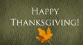 animated thanksgiving card, thanksgiving ecard, thanksgiving greeting card