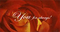i love you ecards, love proposal egreetings, love proposal postcards
