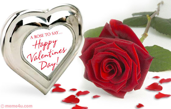 1012-a-rose-.jpg